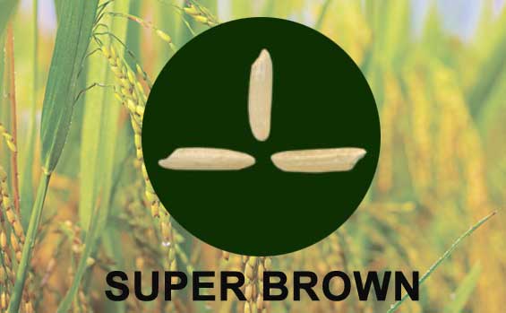 SUPER-BROWN